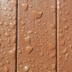 Image for article titled Wood Shooting Challenge